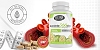 Revive Keto Diet which you ought to specifically purchase fr Logo